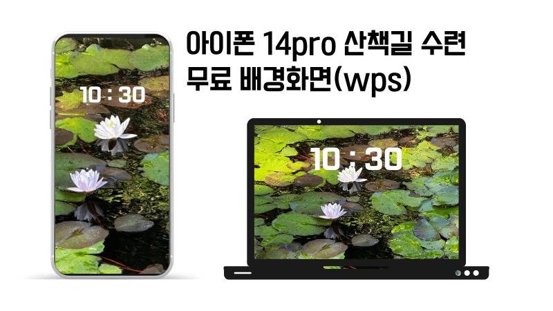 아이폰 14pro로 찍은 산책길 수련사진 배경화면 공유