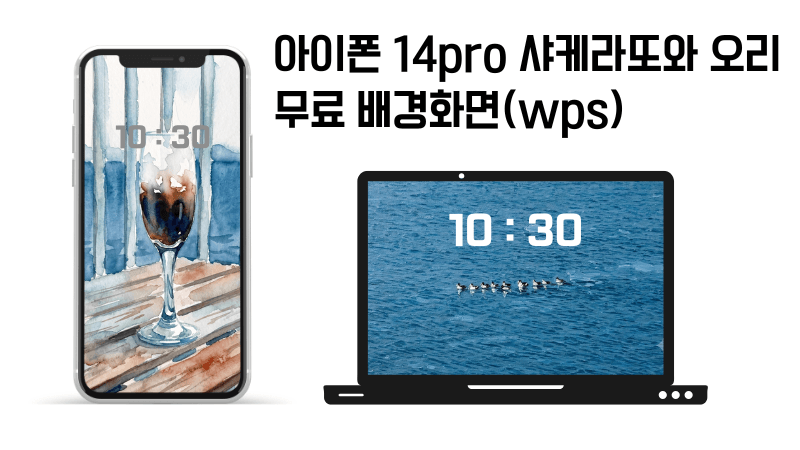 아이폰14pro로 찍은 샤케라또와 바다 줄지은 오리 무료배경화면(wps)